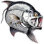 Just4Salmon's Avatar'