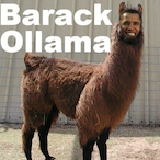 TheHolyObama's Avatar'