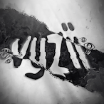 Vyzii's Avatar'