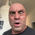 ChickenTray's Avatar'