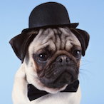 SnuuuffMonster's Avatar