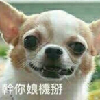 COME_TO_MAMA's Avatar'