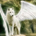 Sonheda._.'s Avatar'
