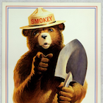 ItzYoBoiDaBear's Avatar'