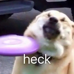 Thicc_Boi_Vinny's Avatar'
