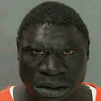 BeeKeeperJoe's Avatar'