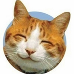 DiMXOn's Avatar'