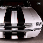 FOXBODY SSP's Avatar'