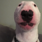 LordSkimper's Avatar'