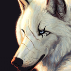 Sn0w_W0lf.'s Avatar'