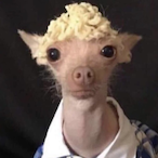 JustLikeJacob's Avatar'