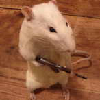Doctor_Duggles's Avatar'