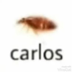 itsme_carlos's Avatar'