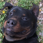 Loky.lD's Avatar'