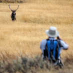 iShootPhotos's Avatar