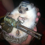 Thomais_Clench's Avatar'