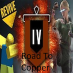 RoadToCopper._'s Avatar'