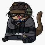 Wokselus's Avatar'