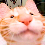 WyomingSmash's Avatar'
