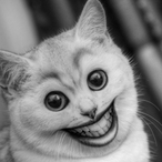 DolkiNerb's Avatar'