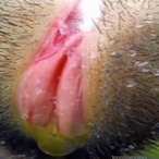 DiegoIlPerverso's Avatar'