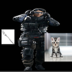 Yingatemycat691's Avatar'