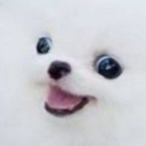 tom..foolery's Avatar'