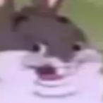 robkazooie's Avatar'