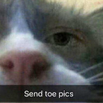 August_Ames_2.0's Avatar'