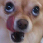 AreYouAhueLiTam's Avatar'
