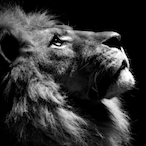 Mxtthewss's Avatar'