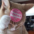 ItzAToothbrush's Avatar'