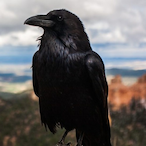 M.Turner-_-'s Avatar