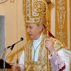 BrockpurdySF's Avatar'