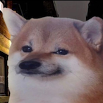 DankFalcon413's Avatar'