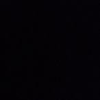 Wild.Zorro's Avatar'