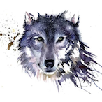 MrJohnWolf117's Avatar'