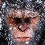 KjayCuhhFan's Avatar'