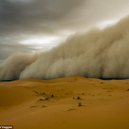 GoldenSandstorm's Avatar