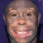 ChimpJoeRogan's Avatar'