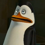DvR.kowalski's Avatar'