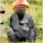 Youriscc's Avatar'