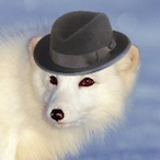 MadameMinty's Avatar