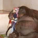 washedseahawk's Avatar'