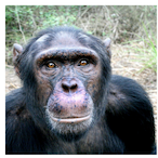 bouger_eater's Avatar'