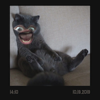 xSloth.Boyx's Avatar'