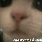 oo1af's Avatar'