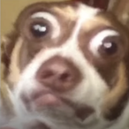 cute egirl nga's Avatar'