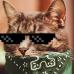 Uxgnz's Avatar'