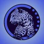 Salocinnn's Avatar'
